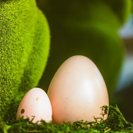 Hidden Bank: Golden דירה פלובדיב